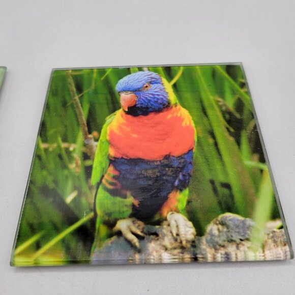 Australian Birds Glass Coasters Colorful Bird Print 4 Inch Get Posh - Picture 3 of 7